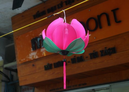 Hà Nội rực rỡ đón ngày giải phóng ảnh 9